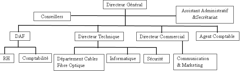 Organigramme